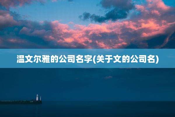 温文尔雅的公司名字(关于文的公司名)