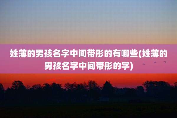 姓薄的男孩名字中间带彤的有哪些(姓薄的男孩名字中间带彤的字)