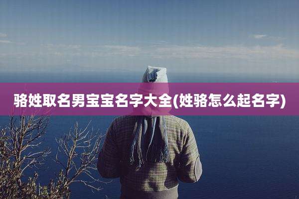 骆姓取名男宝宝名字大全(姓骆怎么起名字)