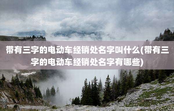 带有三字的电动车经销处名字叫什么(带有三字的电动车经销处名字有哪些)