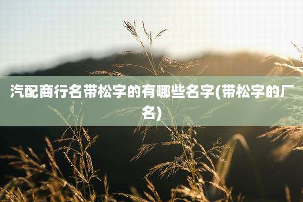 汽配商行名带松字的有哪些名字(带松字的厂名)