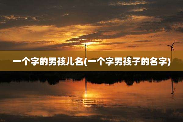 一个字的男孩儿名(一个字男孩子的名字)
