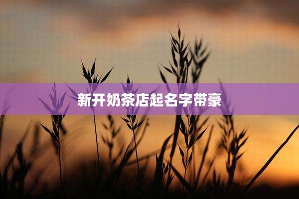 新开奶茶店起名字带豪
