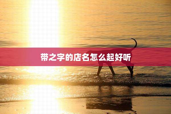 带之字的店名怎么起好听