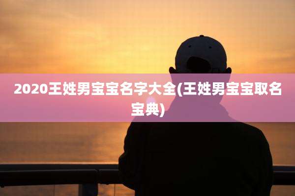 2020王姓男宝宝名字大全(王姓男宝宝取名宝典)