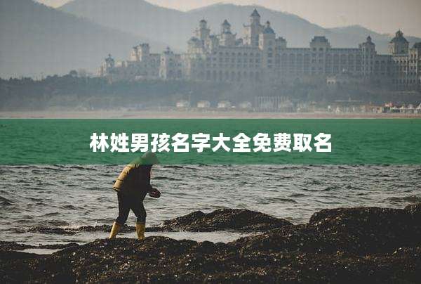 林姓男孩名字大全免费取名