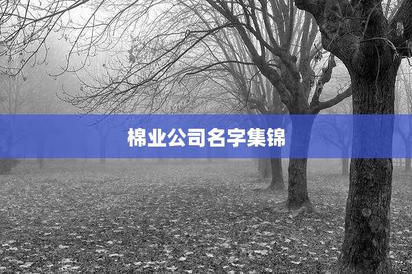 棉业公司名字集锦