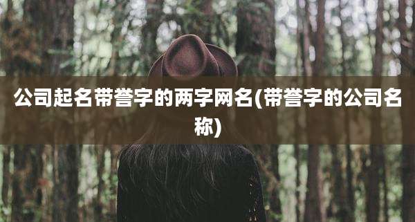 公司起名带誉字的两字网名(带誉字的公司名称)