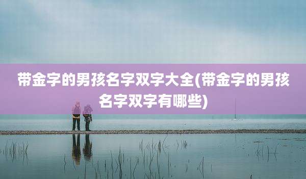 带金字的男孩名字双字大全(带金字的男孩名字双字有哪些)