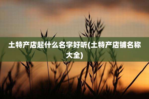 土特产店起什么名字好听(土特产店铺名称大全)