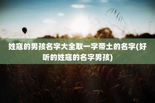 姓寇的男孩名字大全取一字带土的名字(好听的姓寇的名字男孩)