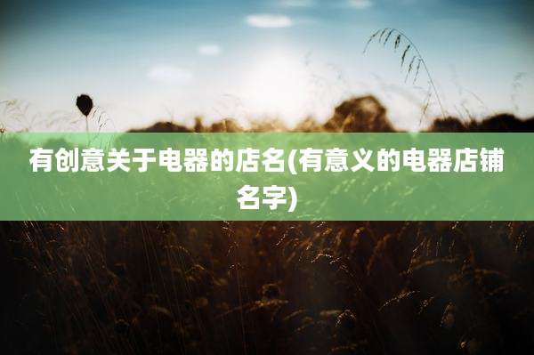 有创意关于电器的店名(有意义的电器店铺名字)