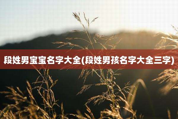 段姓男宝宝名字大全(段姓男孩名字大全三字)