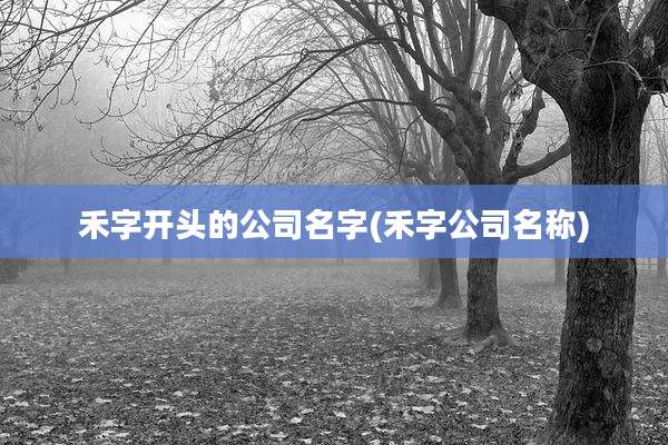 禾字开头的公司名字(禾字公司名称)