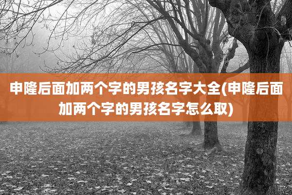 申隆后面加两个字的男孩名字大全(申隆后面加两个字的男孩名字怎么取)