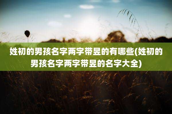 姓初的男孩名字两字带昱的有哪些(姓初的男孩名字两字带昱的名字大全)