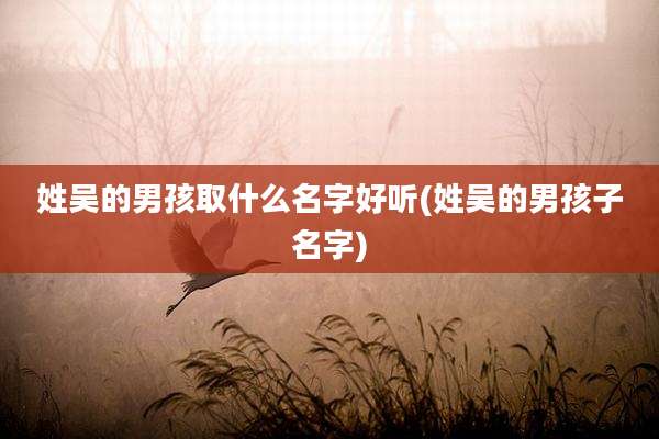姓吴的男孩取什么名字好听(姓吴的男孩子名字)