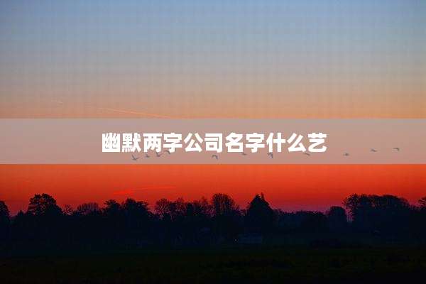 幽默两字公司名字什么艺