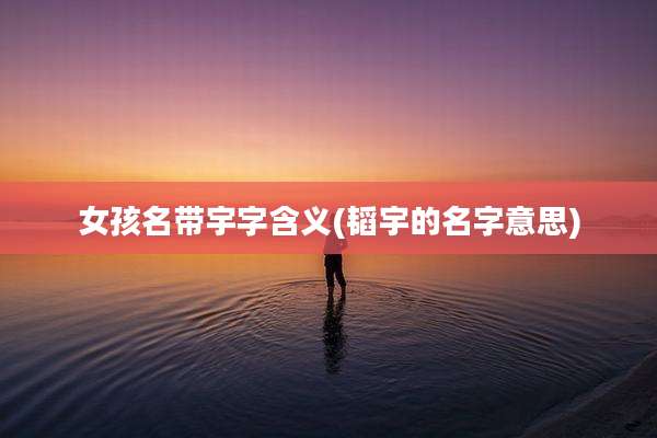 女孩名带宇字含义(韬宇的名字意思)