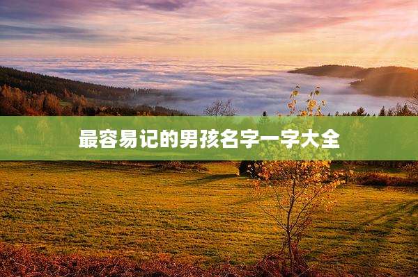 最容易记的男孩名字一字大全