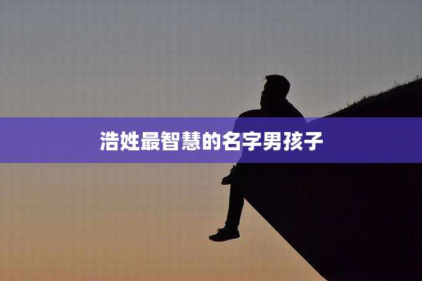 浩姓最智慧的名字男孩子