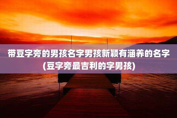 带豆字旁的男孩名字男孩新颖有涵养的名字(豆字旁最吉利的字男孩)
