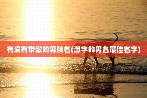 有没有带淑的男孩名(淑字的男名最佳名字)