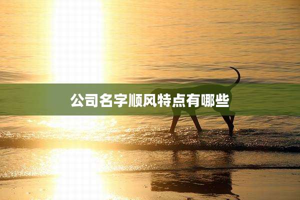 公司名字顺风特点有哪些