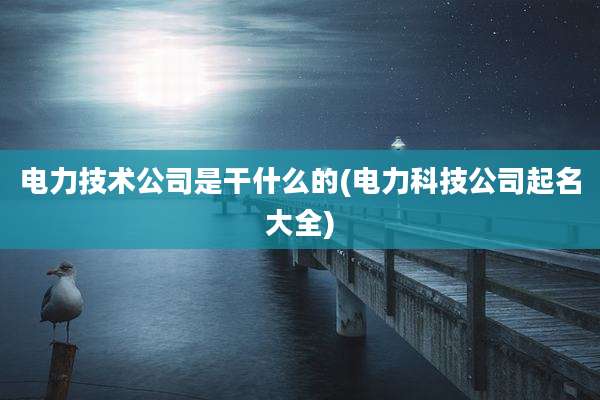 电力技术公司是干什么的(电力科技公司起名大全)