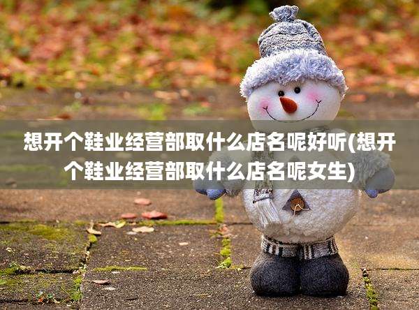 想开个鞋业经营部取什么店名呢好听(想开个鞋业经营部取什么店名呢女生)