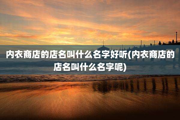 内衣商店的店名叫什么名字好听(内衣商店的店名叫什么名字呢)
