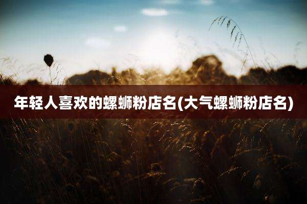 年轻人喜欢的螺蛳粉店名(大气螺蛳粉店名)