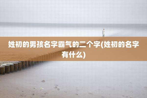 姓初的男孩名字霸气的二个字(姓初的名字有什么)
