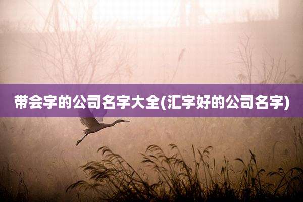 带会字的公司名字大全(汇字好的公司名字)