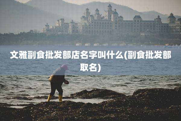 文雅副食批发部店名字叫什么(副食批发部取名)