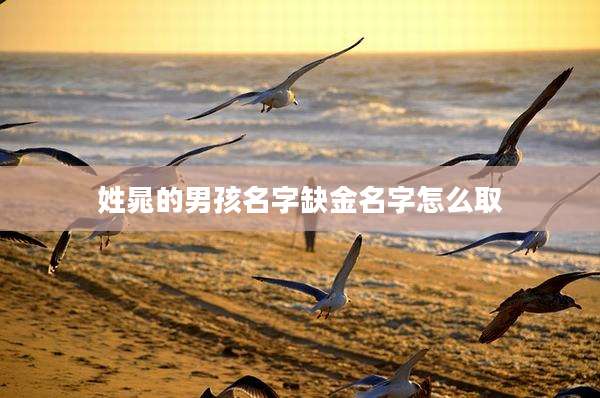 姓晁的男孩名字缺金名字怎么取
