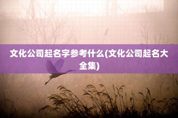 文化公司起名字参考什么(文化公司起名大全集)