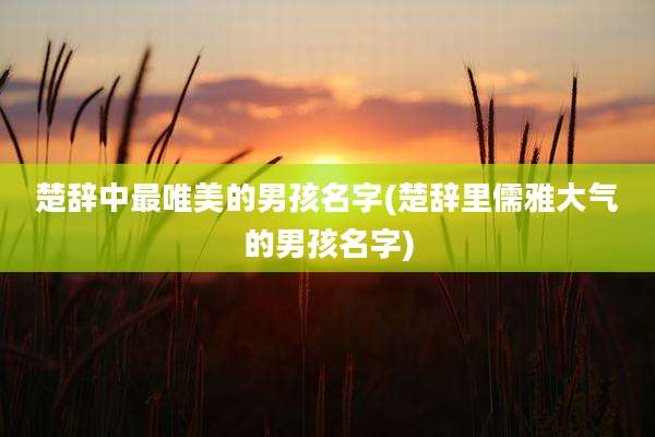 楚辞中最唯美的男孩名字(楚辞里儒雅大气的男孩名字)