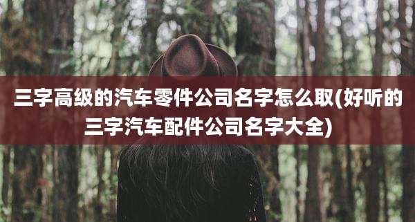 三字高级的汽车零件公司名字怎么取(好听的三字汽车配件公司名字大全)