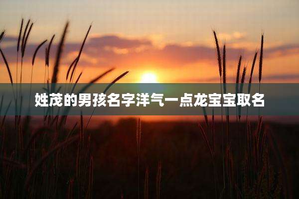 姓茂的男孩名字洋气一点龙宝宝取名