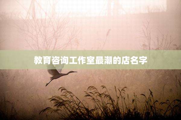 教育咨询工作室最潮的店名字
