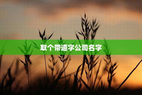 取个带道字公司名字