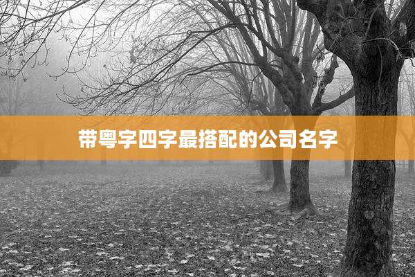 带粤字四字最搭配的公司名字