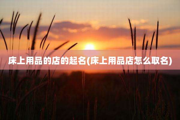 床上用品的店的起名(床上用品店怎么取名)