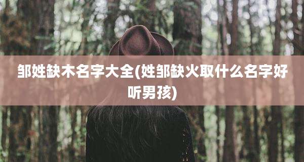 邹姓缺木名字大全(姓邹缺火取什么名字好听男孩)