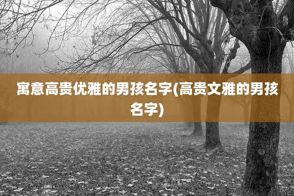 寓意高贵优雅的男孩名字(高贵文雅的男孩名字)