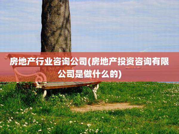 房地产行业咨询公司(房地产投资咨询有限公司是做什么的)