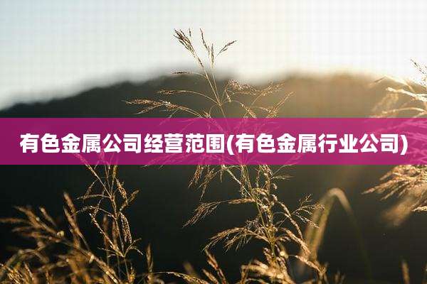 有色金属公司经营范围(有色金属行业公司)