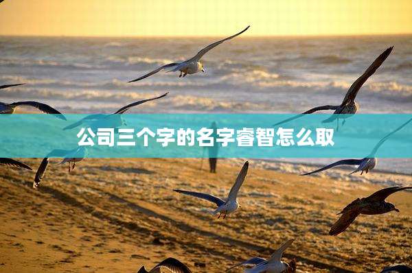 公司三个字的名字睿智怎么取