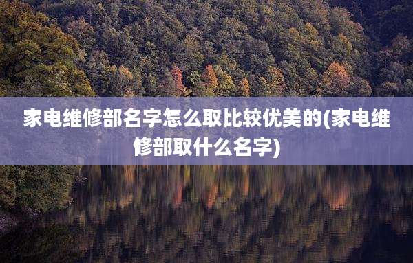 家电维修部名字怎么取比较优美的(家电维修部取什么名字)